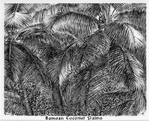Samoan Coconut Palms